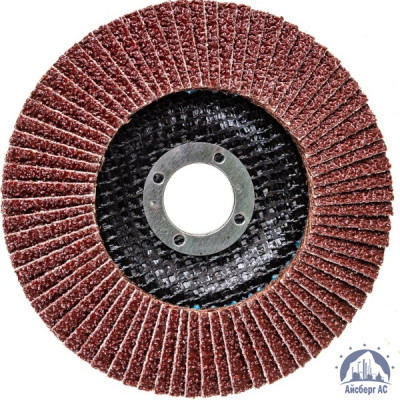 Круг лепестковый КЛТ 125х22 мм, P80, Elitech, 1820,039100 купить в Казани